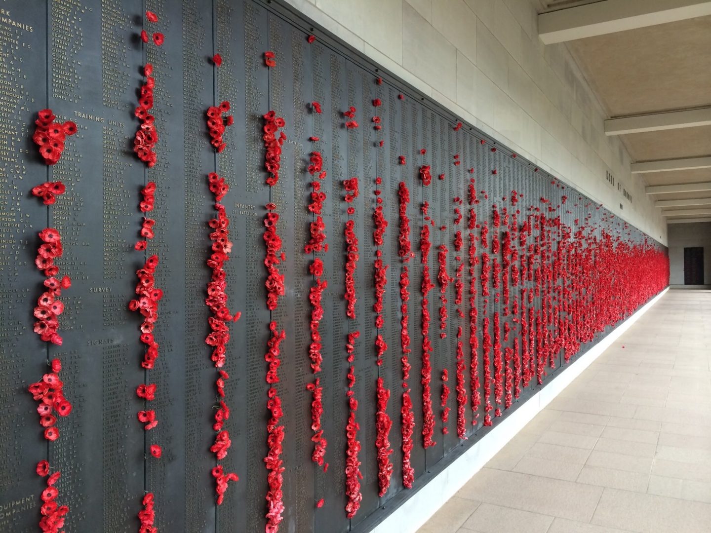 Poppies of the Australian War Memorial, Canberra