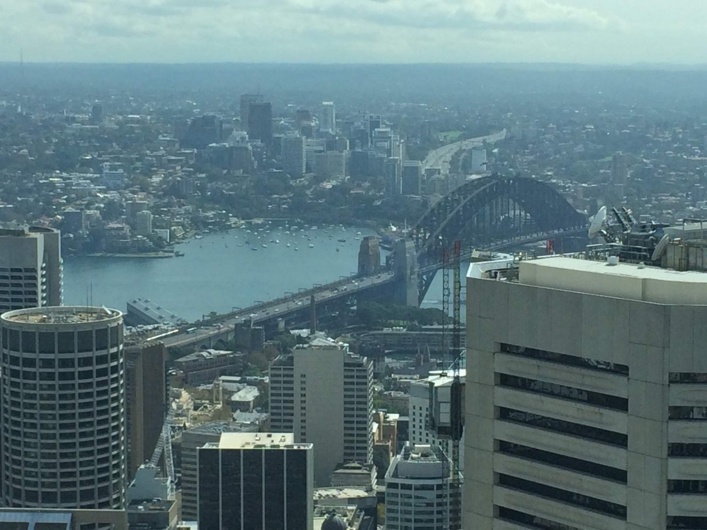 Sydney Harbour Bridge from Sydney Tower Eye