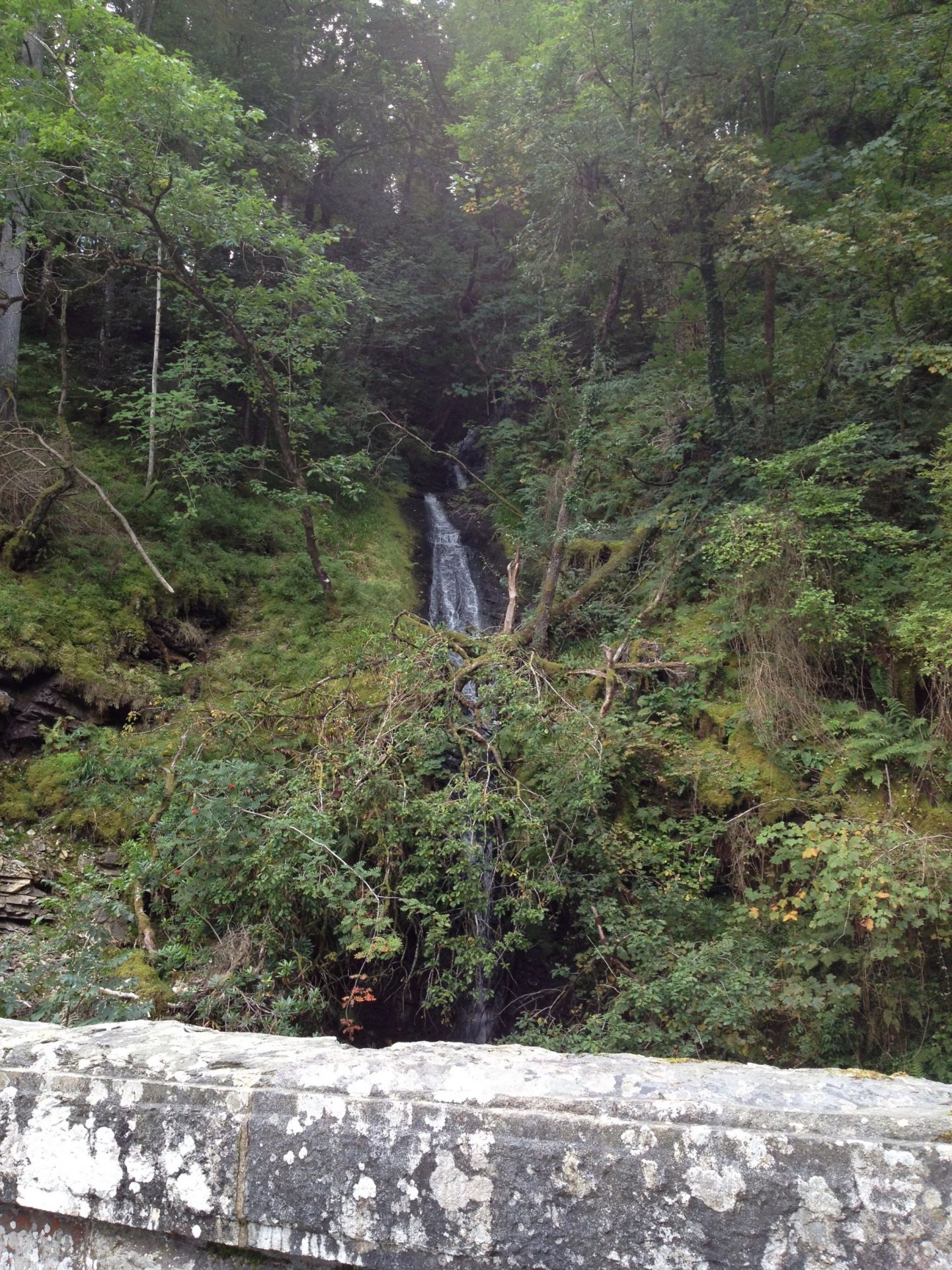 A waterfall at Lake Vyrnwy, Wales
