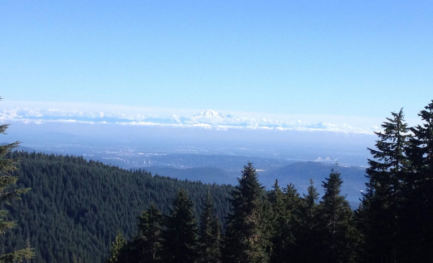 Views over Vancouver from Grouse Mountain