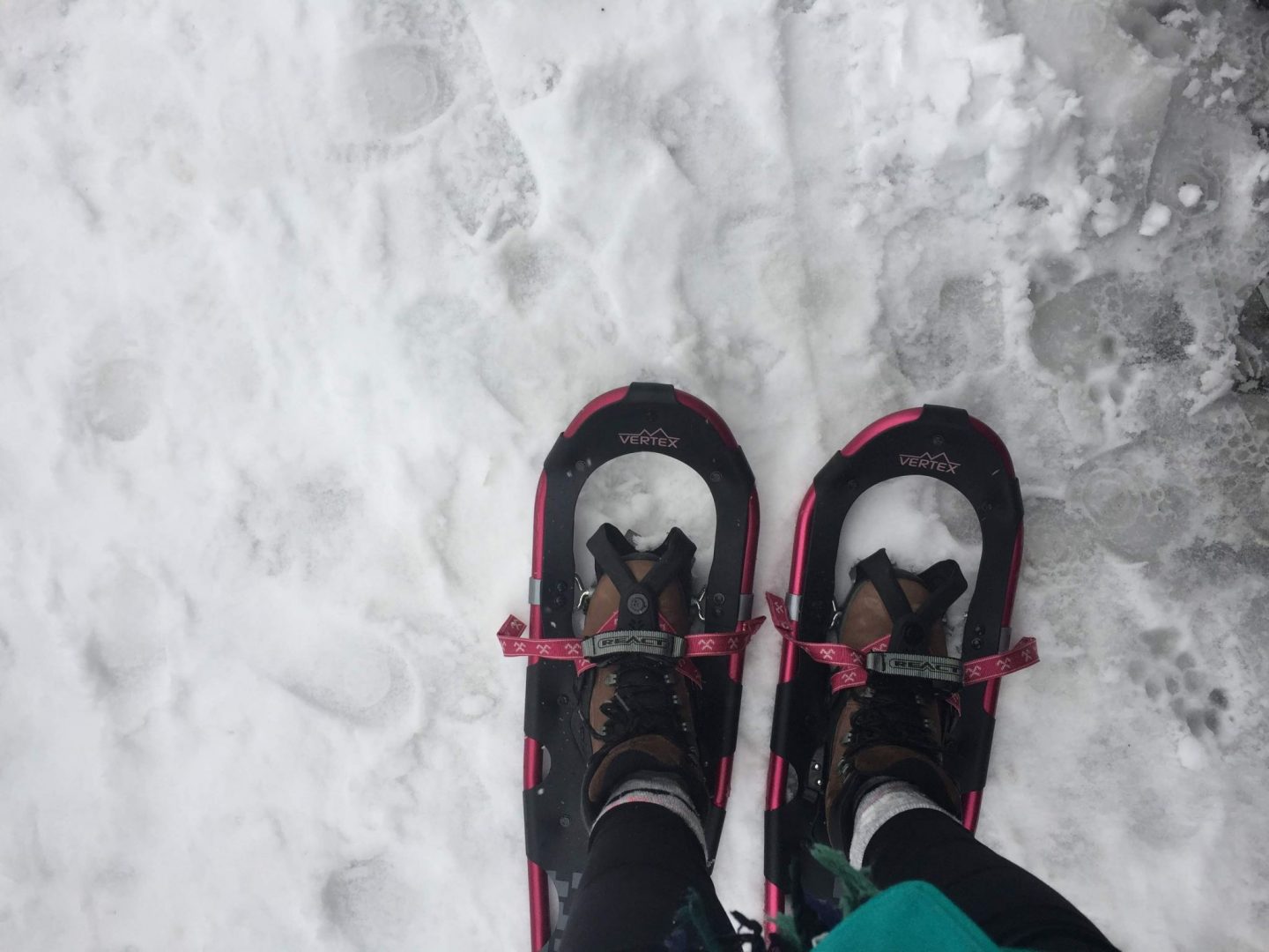 Donning snowshoes on Mount Seymour, Vancouver