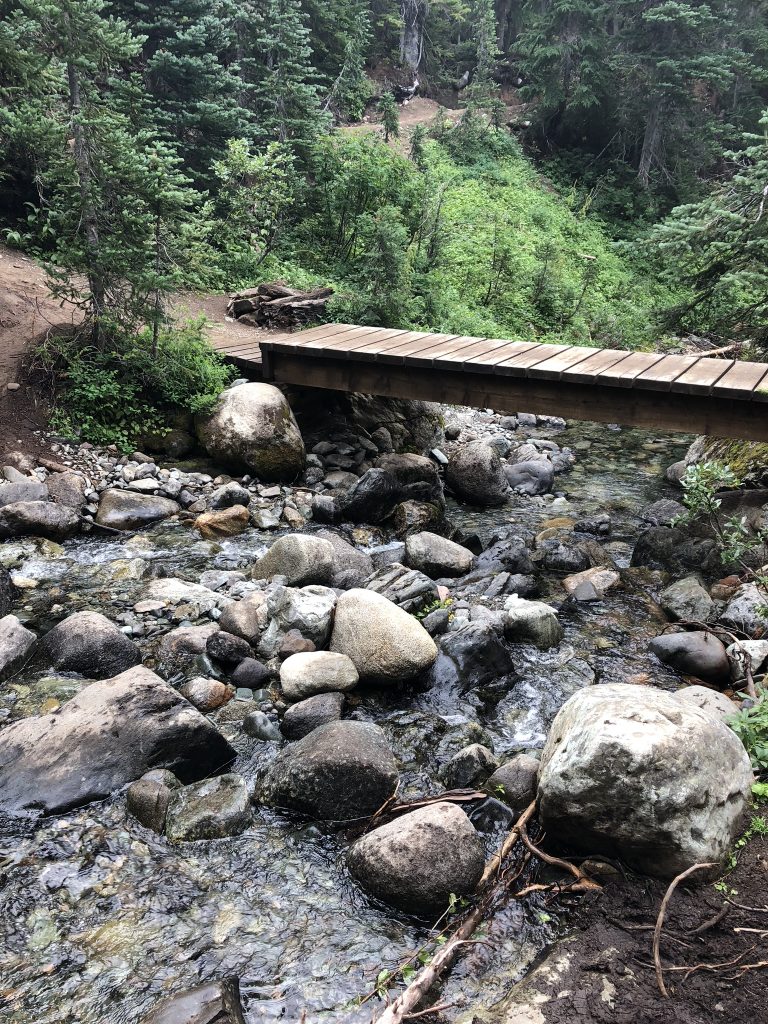 Trail to Garibaldi Lake, BC