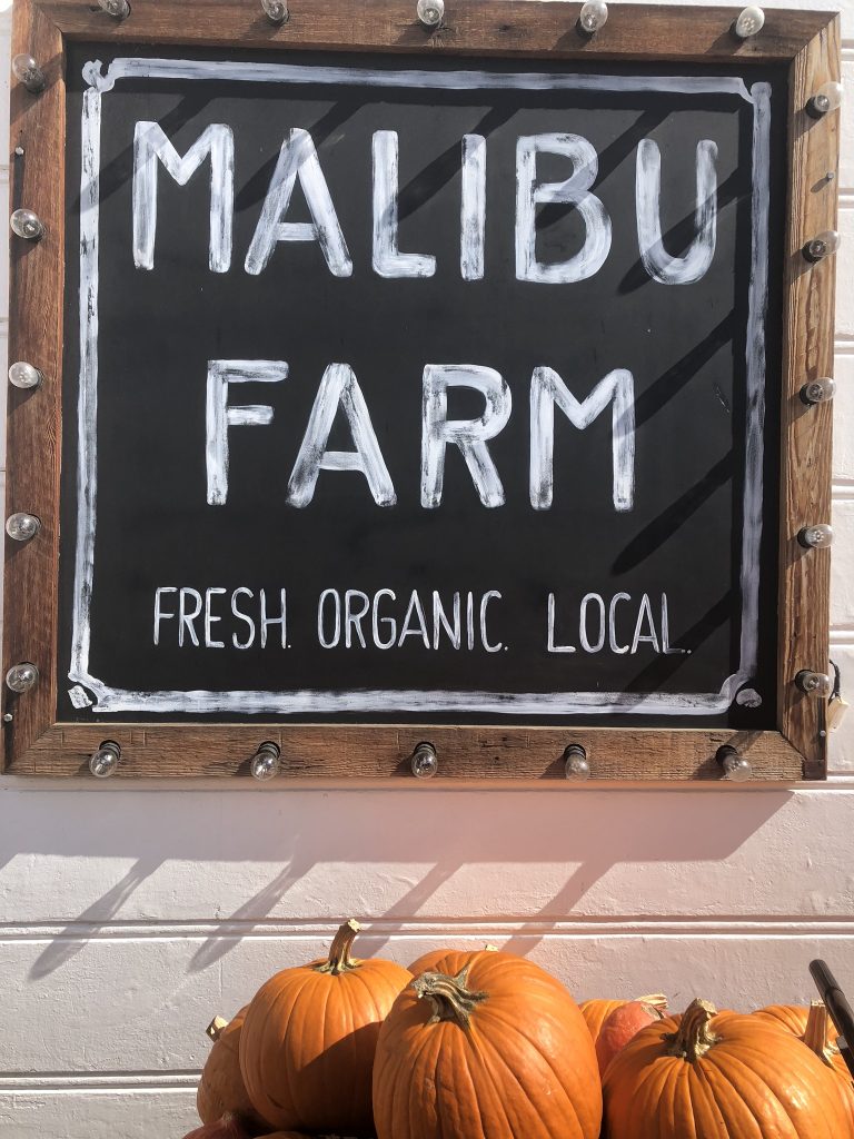 Pumpkins outside Malibu Farm