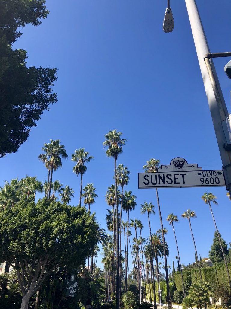 The palm trees of Sunset Boulevard, LA