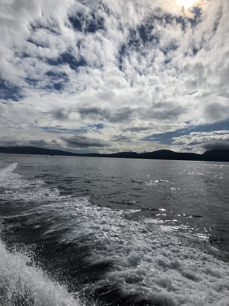 The sea and sky off Vancouver while whale watching