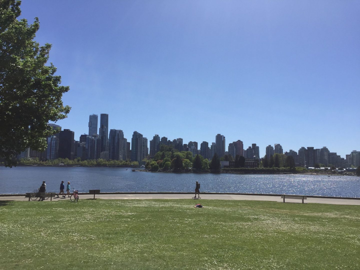 Stanley Park, Vancouver in the summer