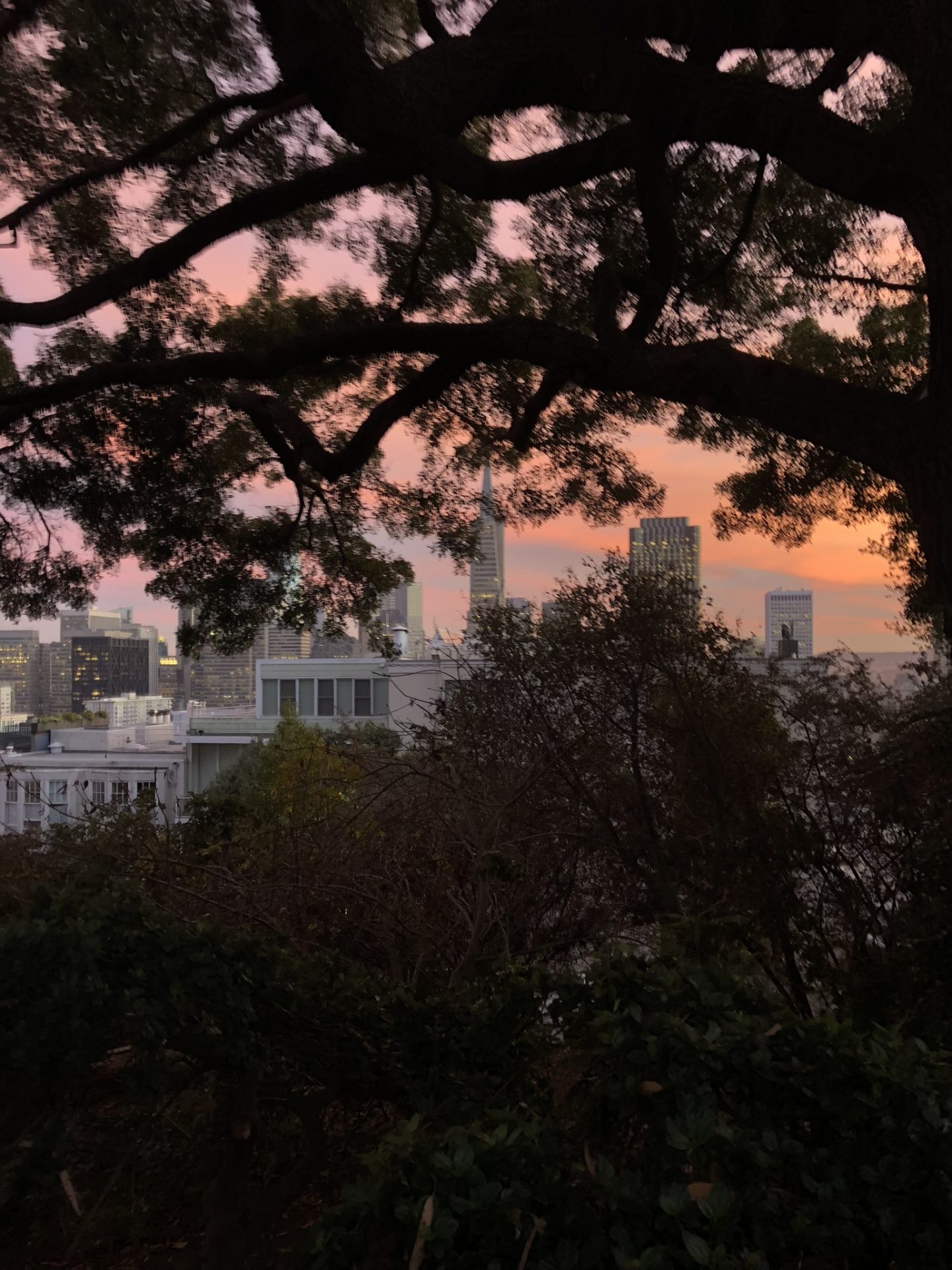 Sunset views from Coit Tower, San Francisco