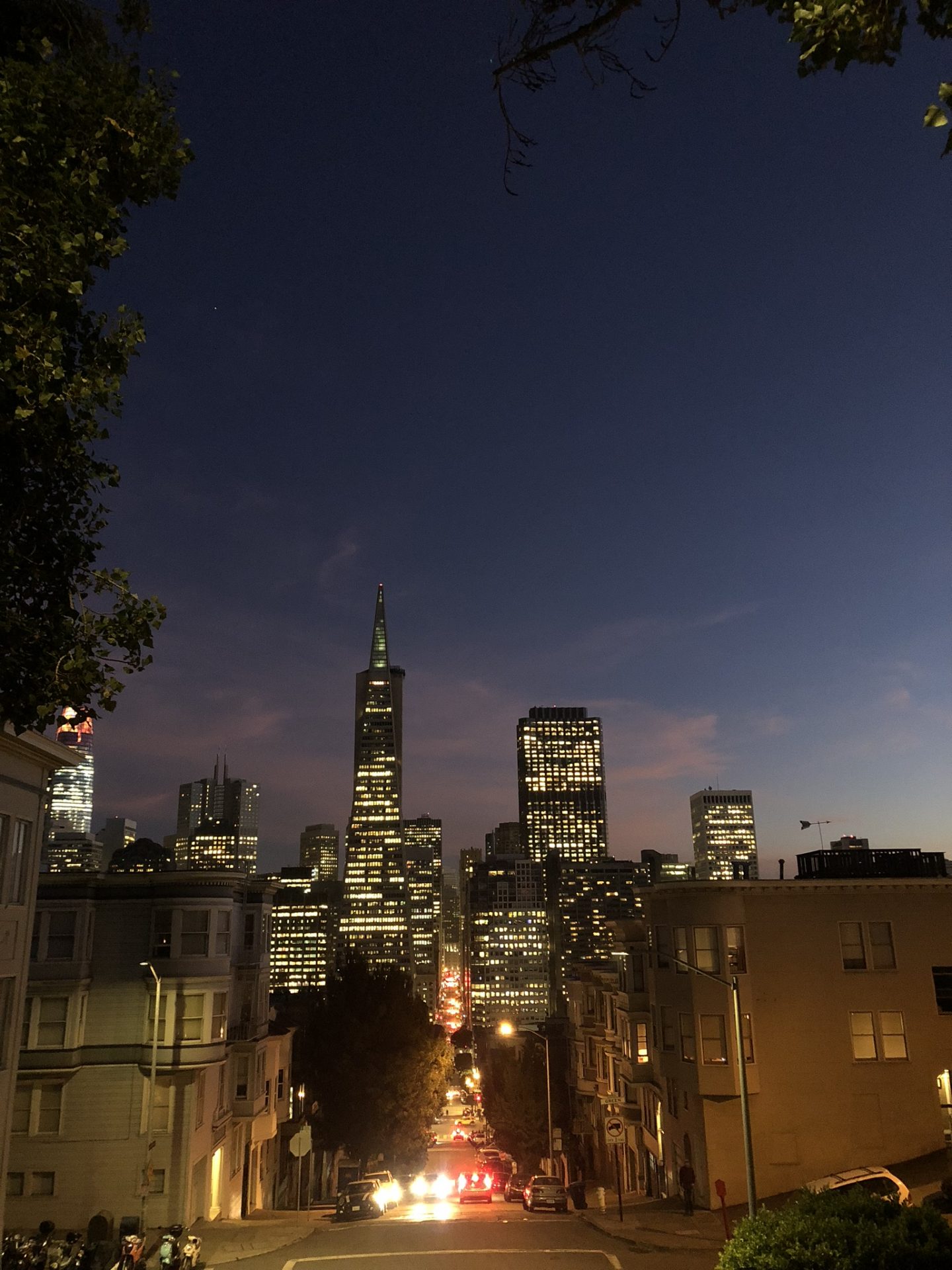 San Francisco skyline by night