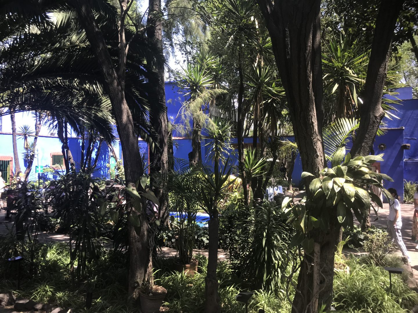 The grounds of Casa Azul, Frida Kahlo Museum, Mexico City