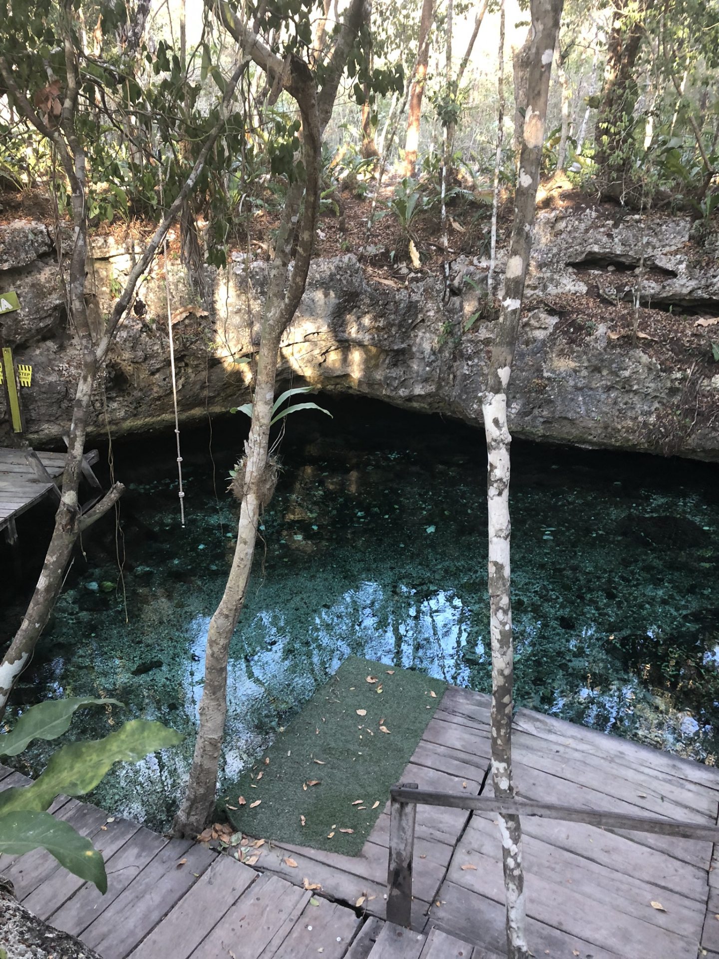 Cenote Gloria, Riviera Maya
