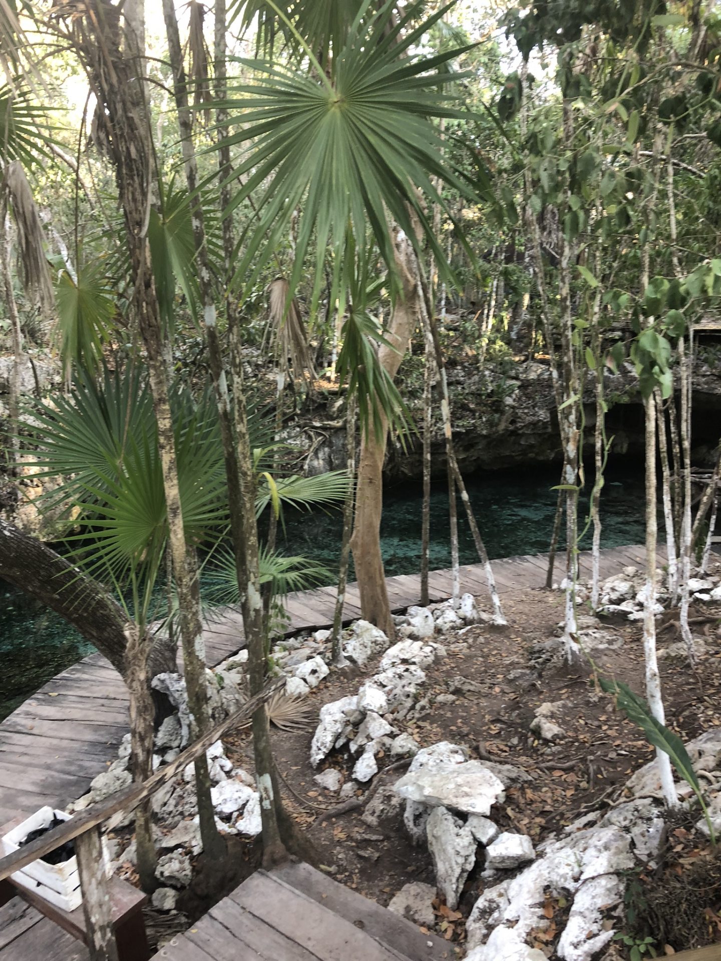 Mexican cenote