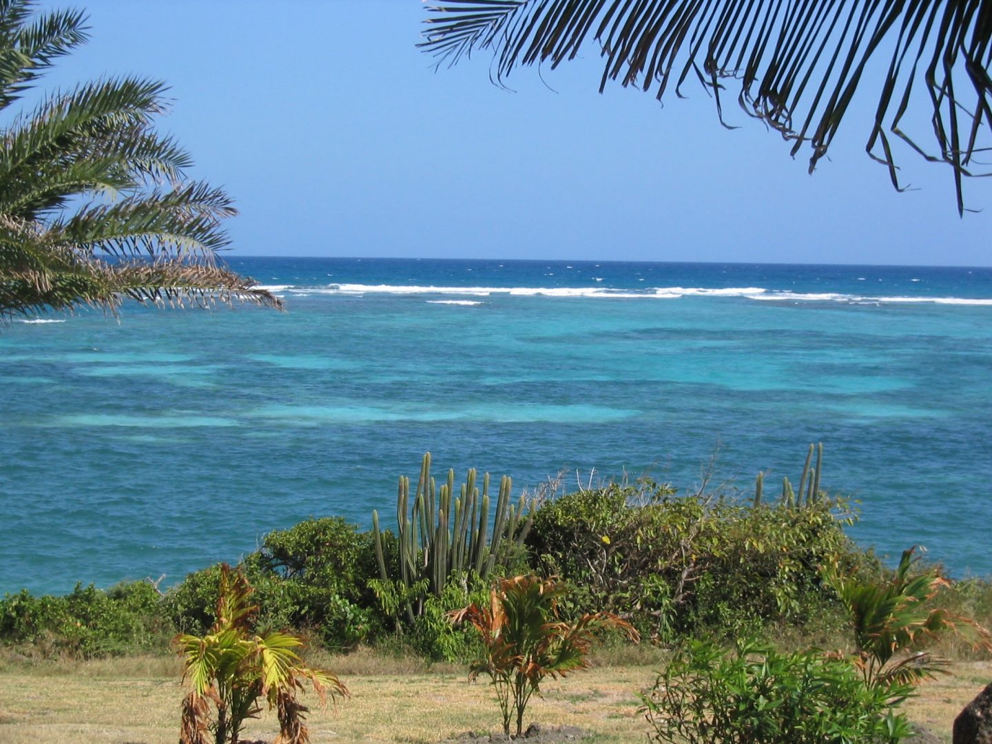 Views across Coco Beach