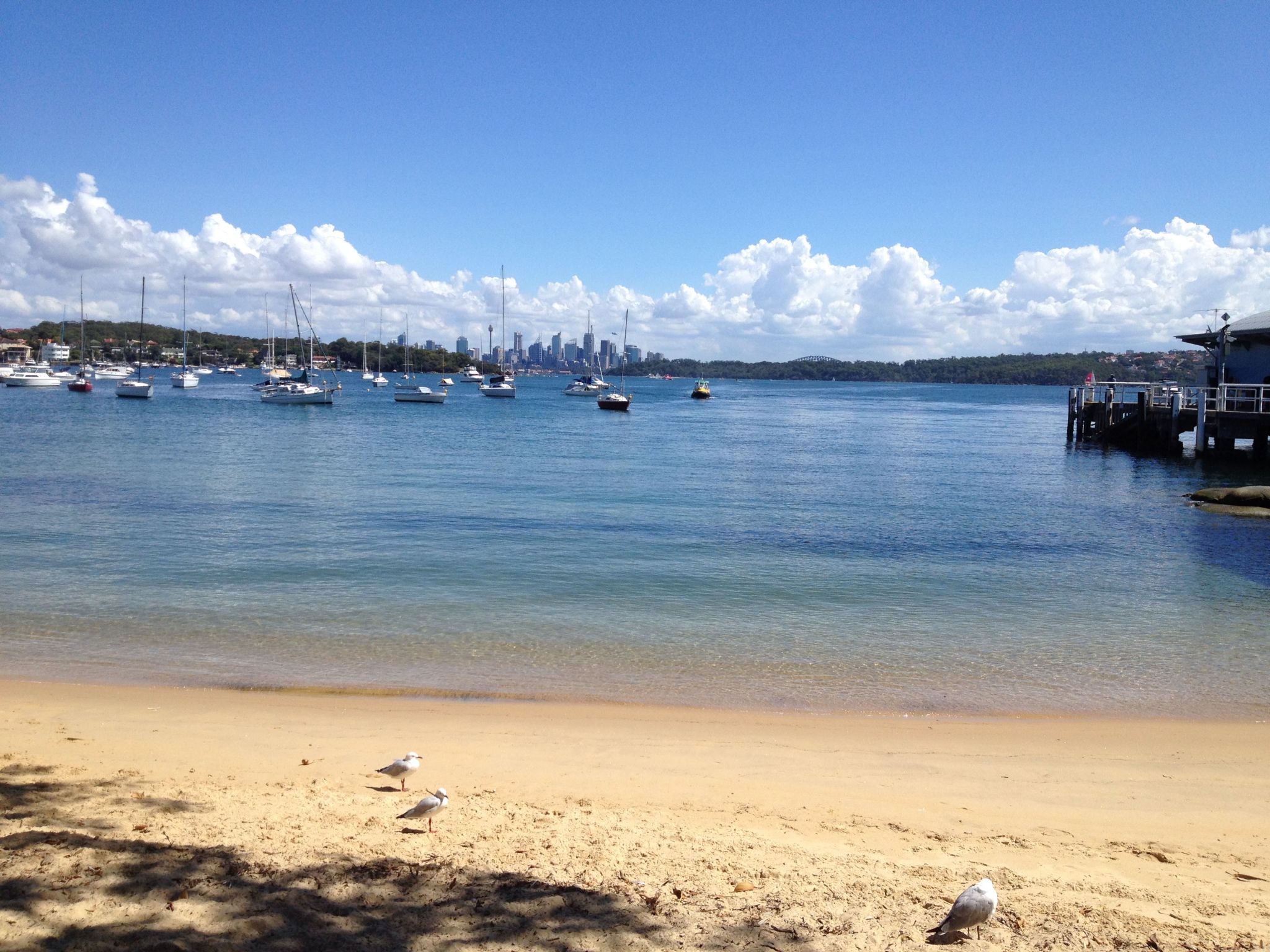 Watsons Bay and Baseball in Sydney