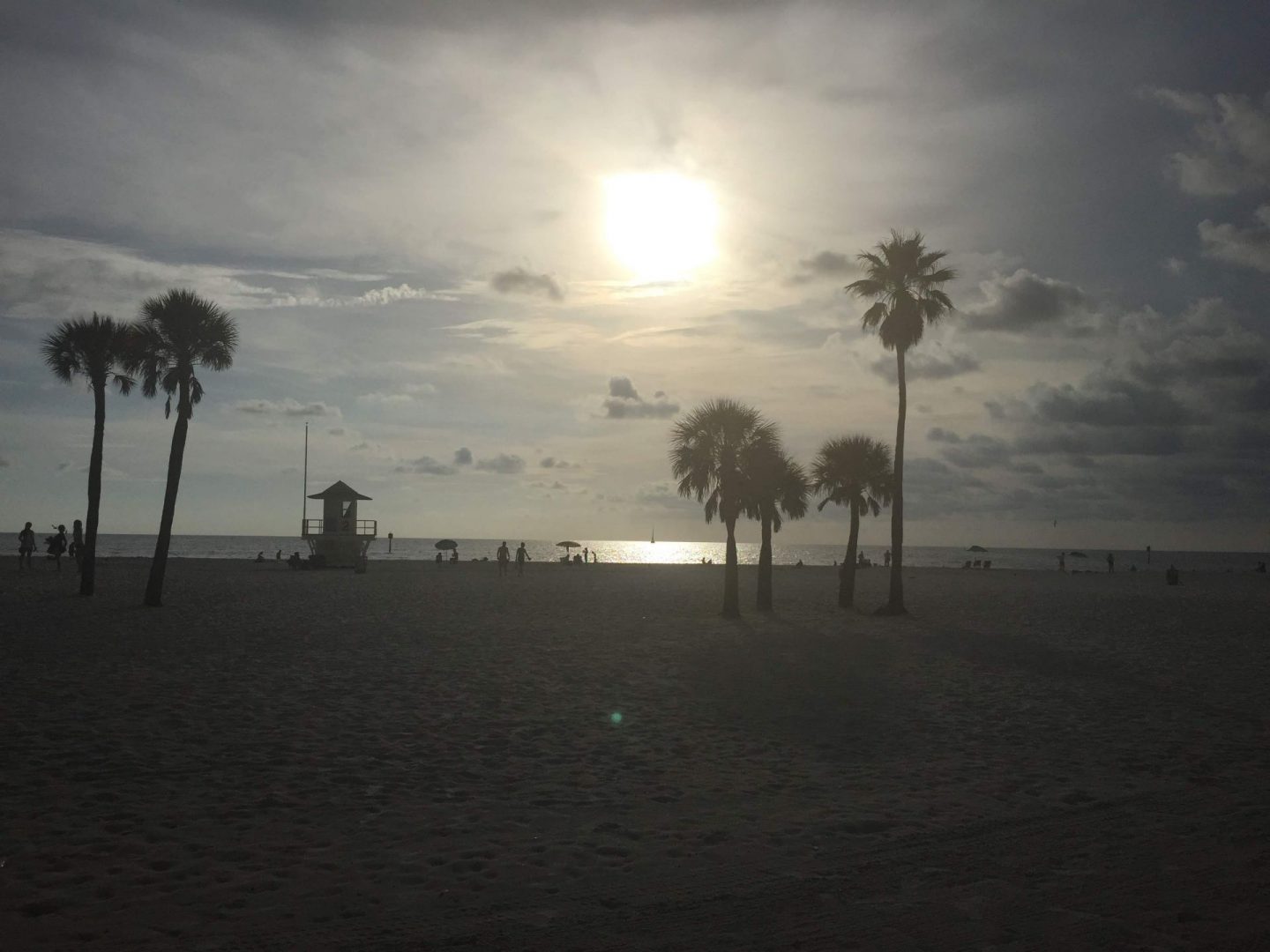 Sunset through the palm trees on Clearwater Beach