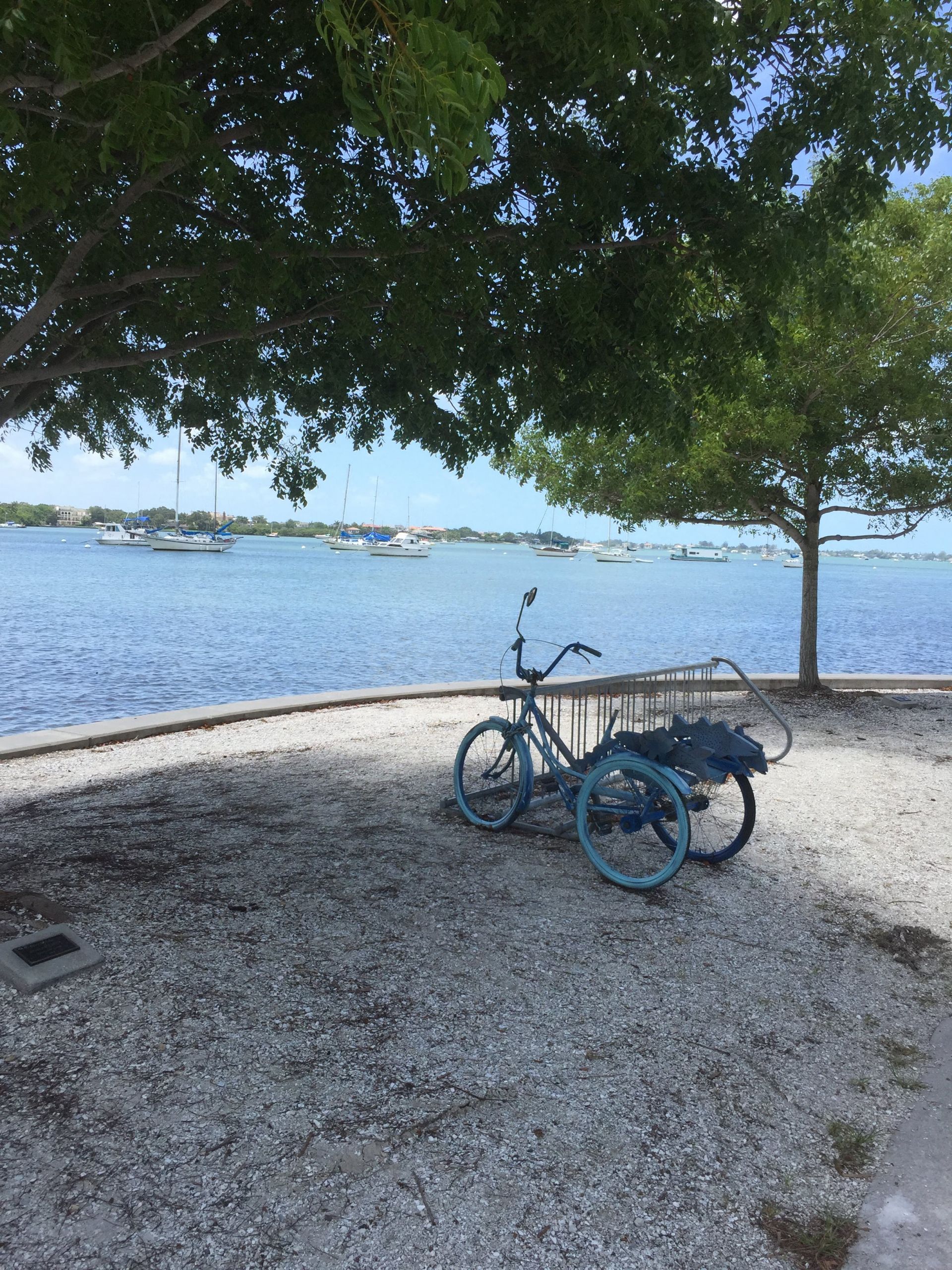 Bicycle on Sarasota Bay