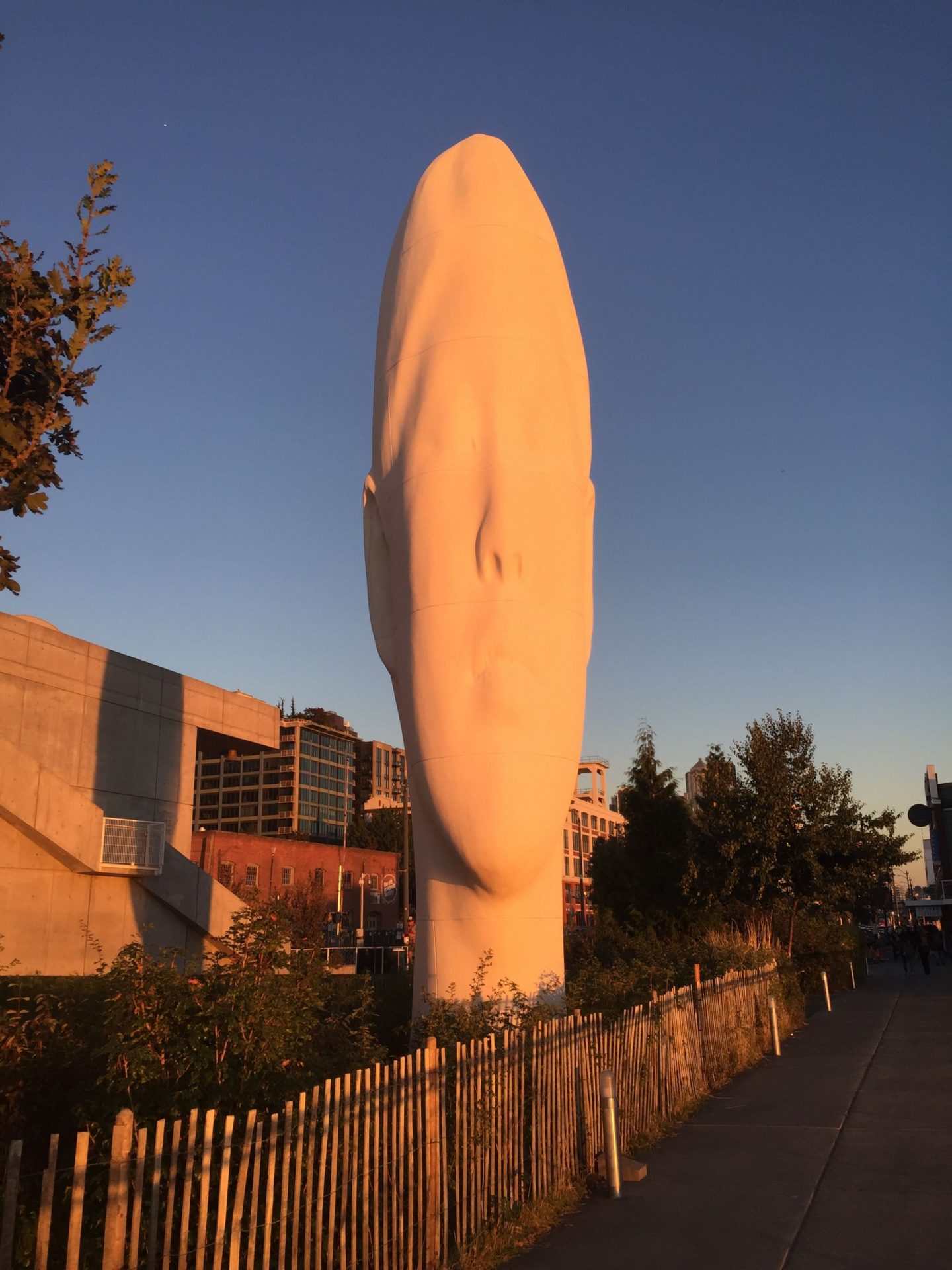 Echo head sculpture in Olympic Sculpture Park