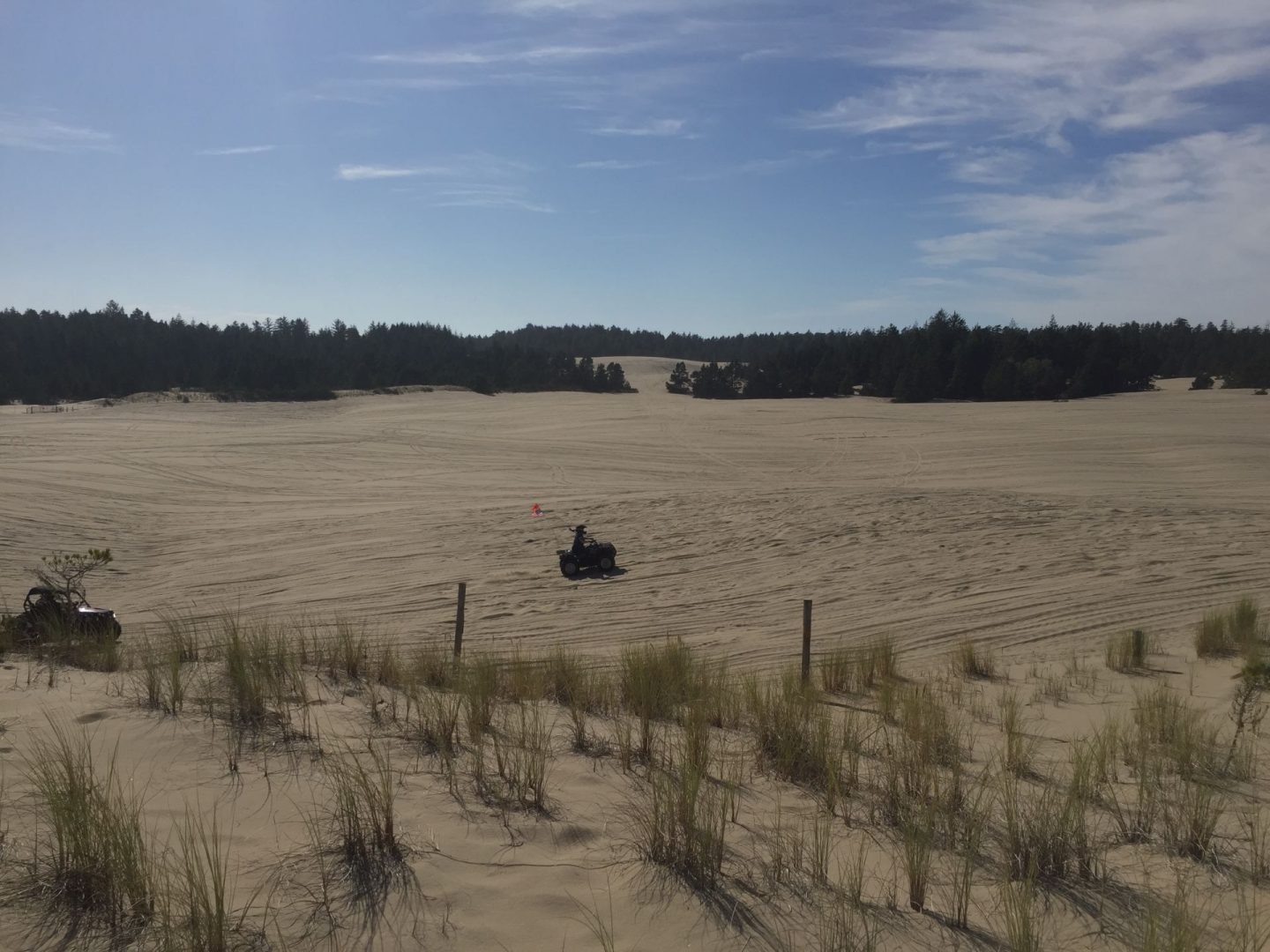 Sand dunes on the Oregon Coast