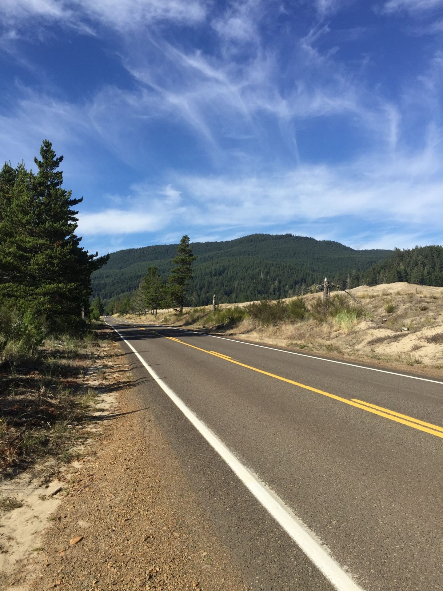 Road on the Oregon Coast