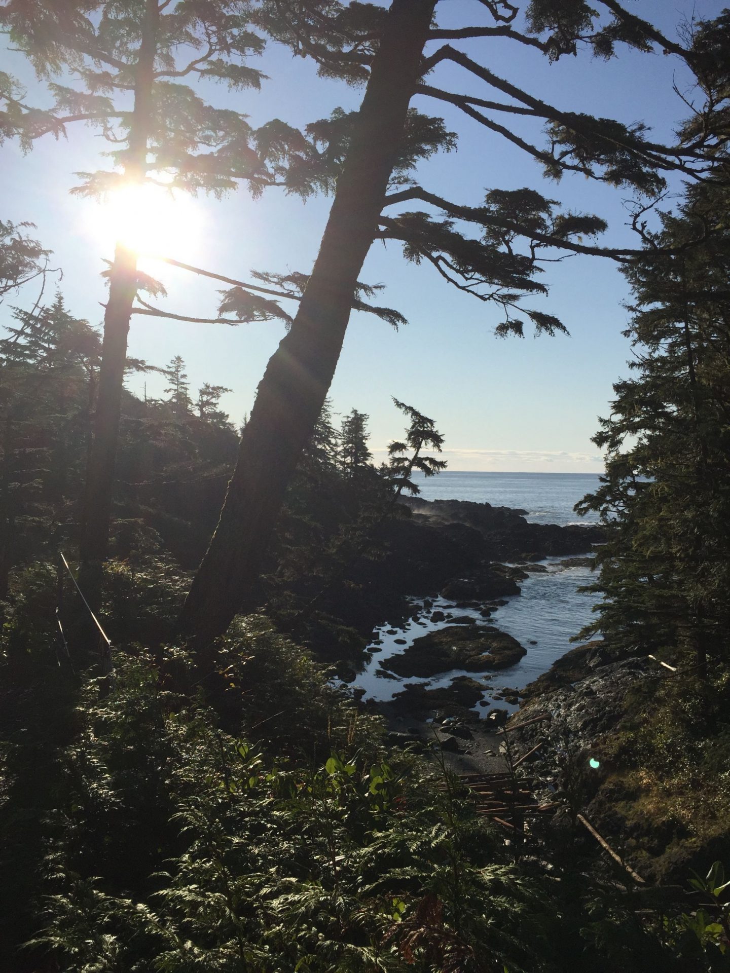 Wild Pacific Trail, Ucluelet on Vancouver Island