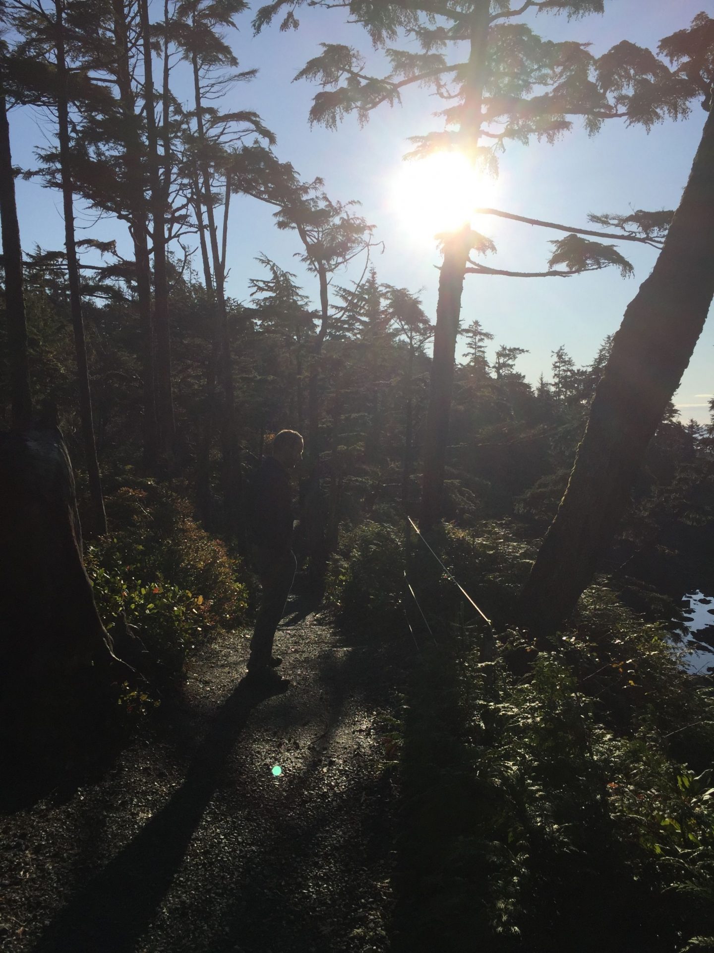 View from a hike near Black Rock Oceanfront Resort, Ucluelet