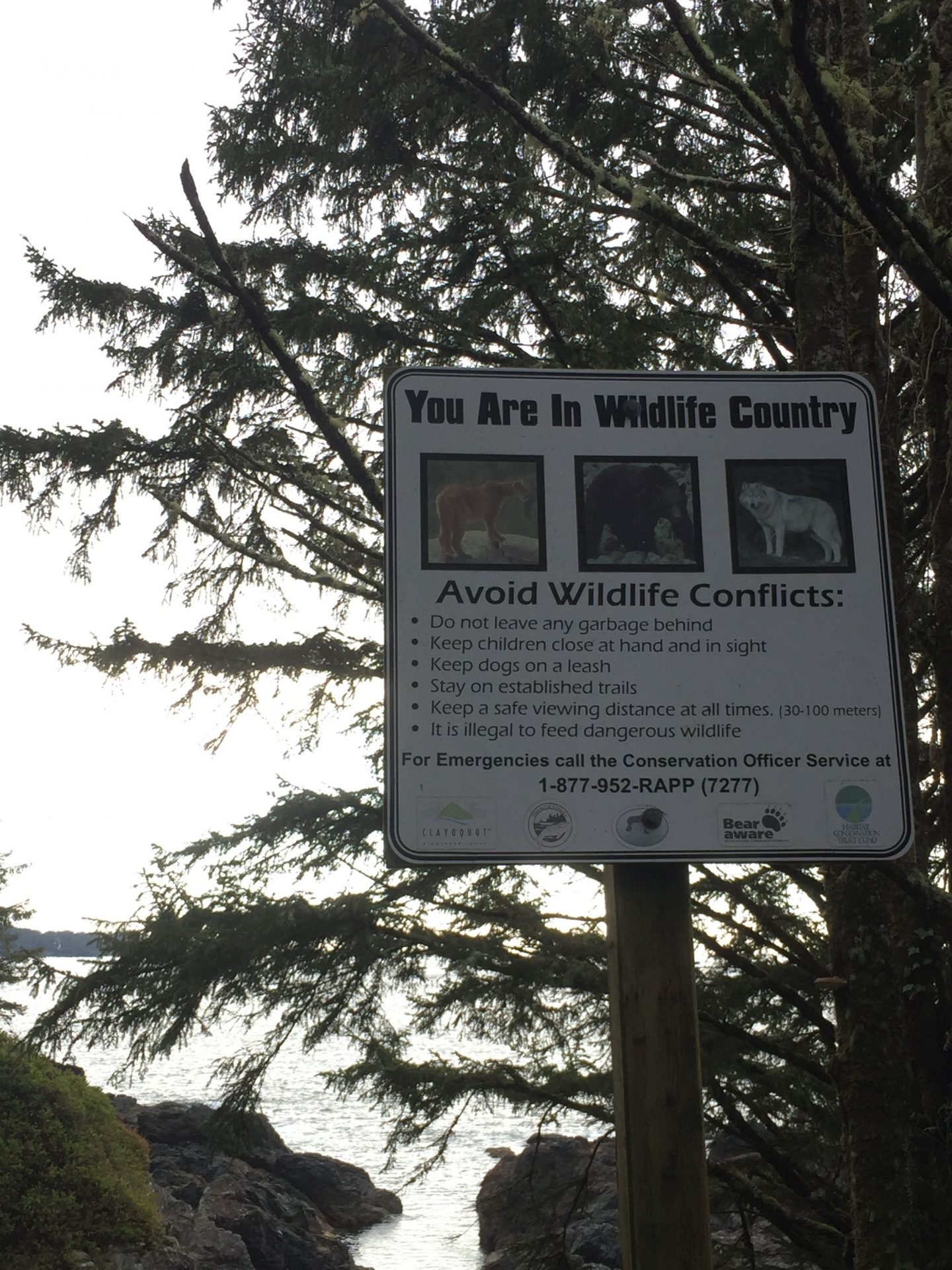 Wildlife warnings on Vancouver Island