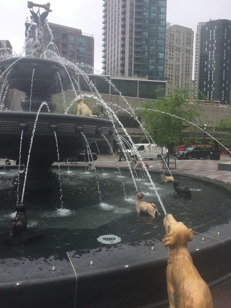 Dog fountain in Toronto