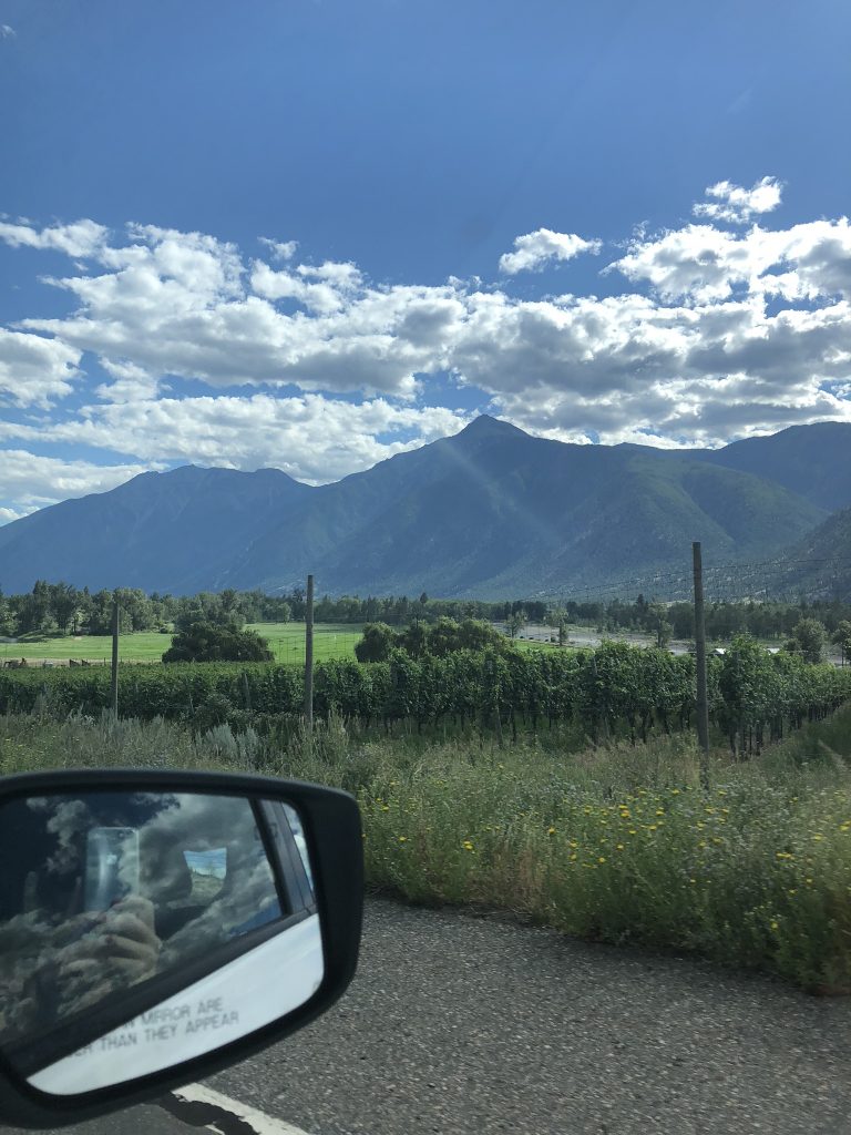Taking in the views on our way to the Osoyoos in the Okanagan, BC