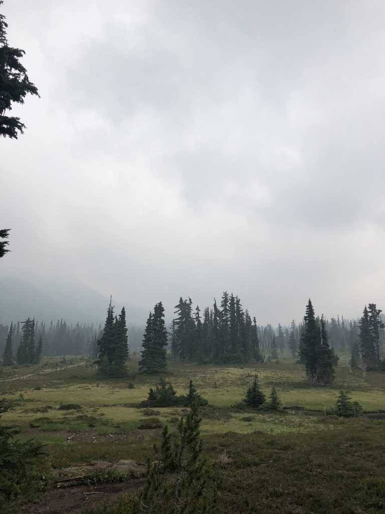 Gloomy scenery near Garibaldi Lake