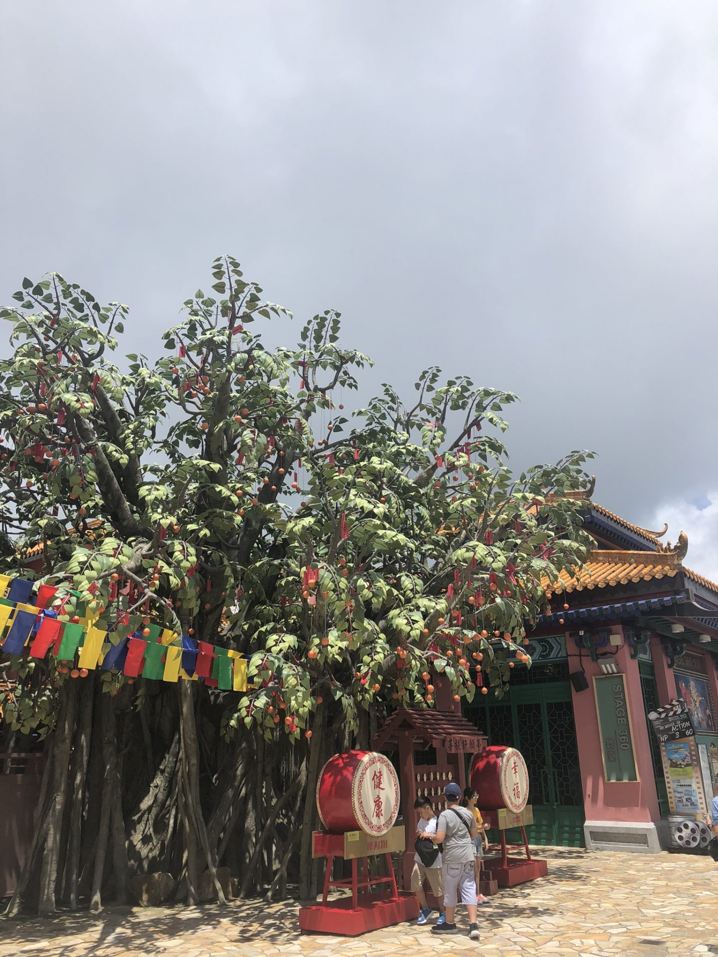 Bodhi Tree, Ngong Ping village, Lantau Island
