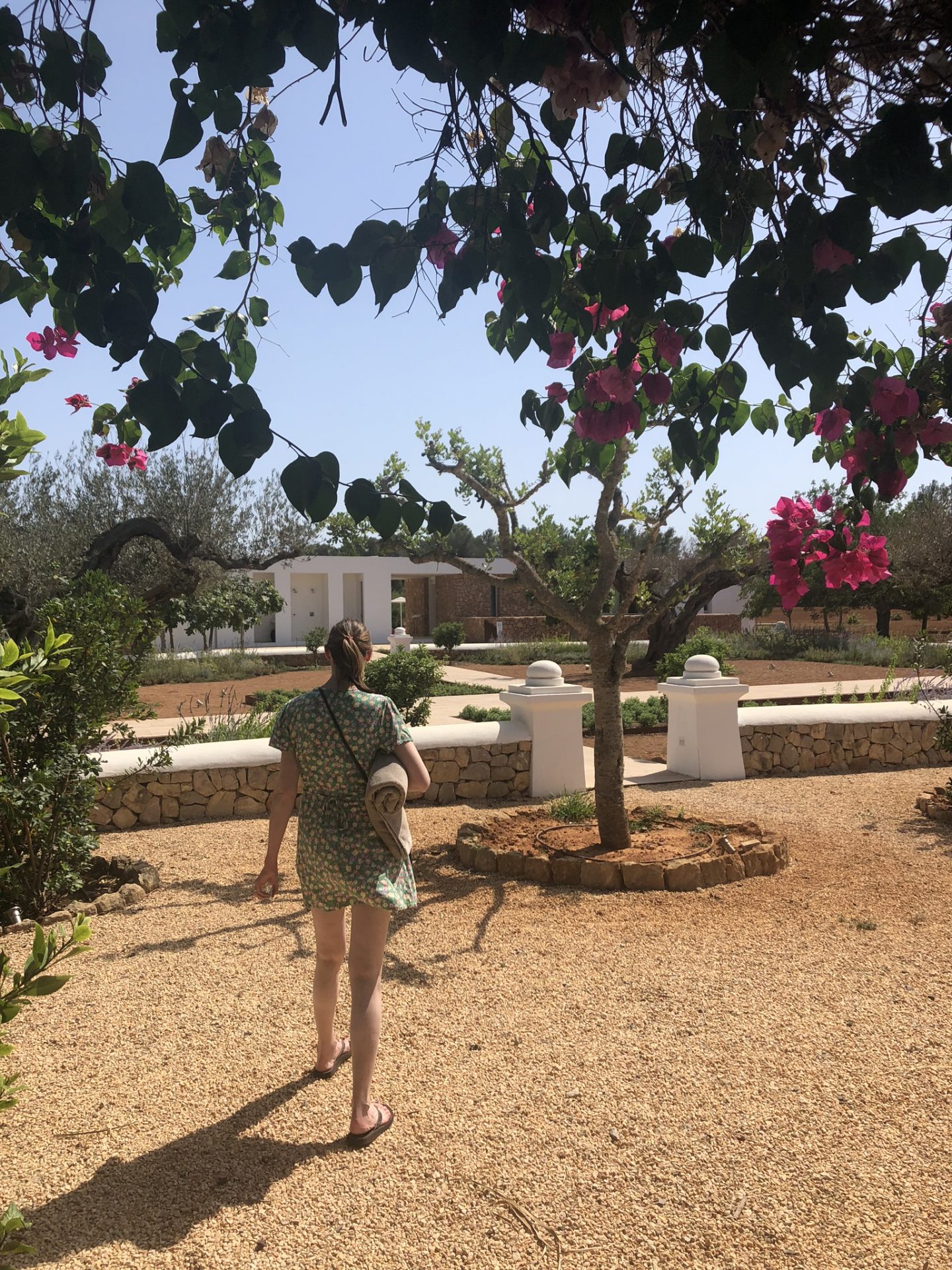 Ca Na Xica gardens, Ibiza