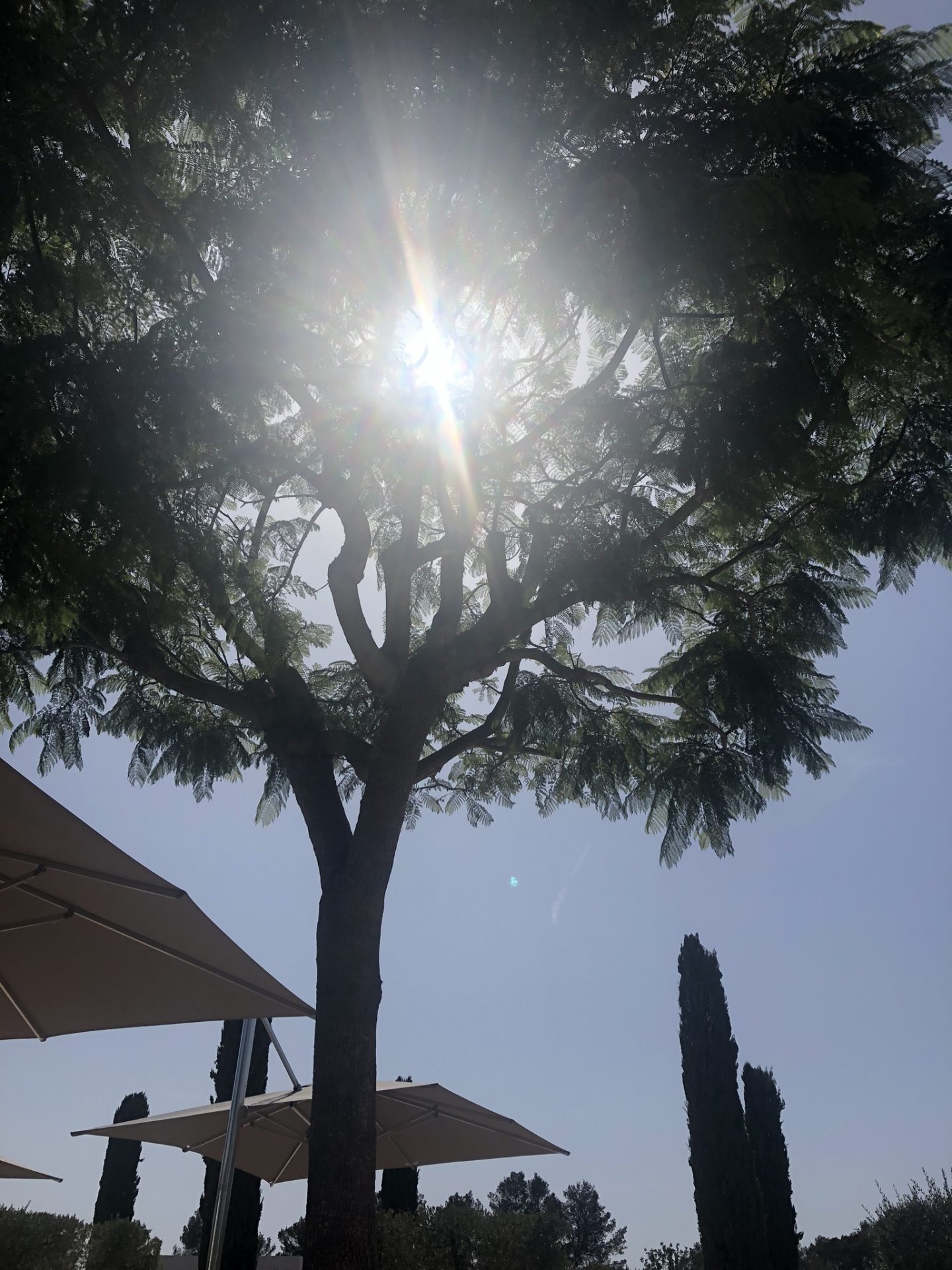 Sun on the terrace in Ibiza