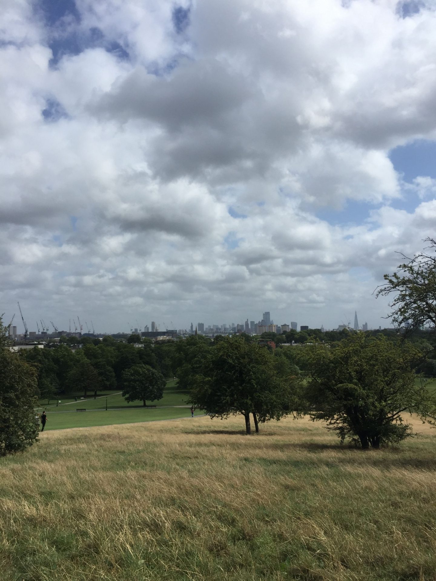 Views over Primrose Hill, London
