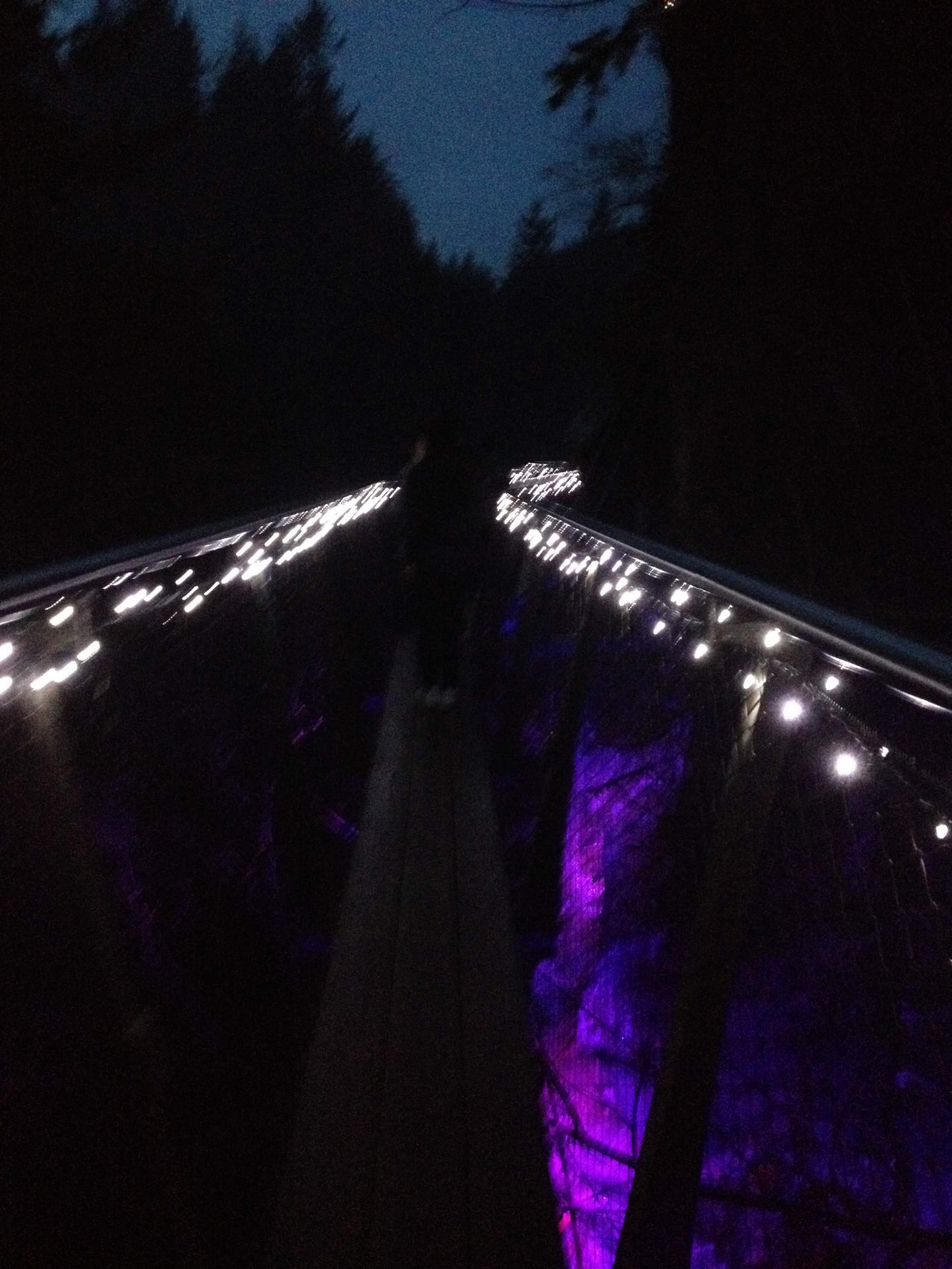 Cliffwalk at Canyon Lights, Vancouver
