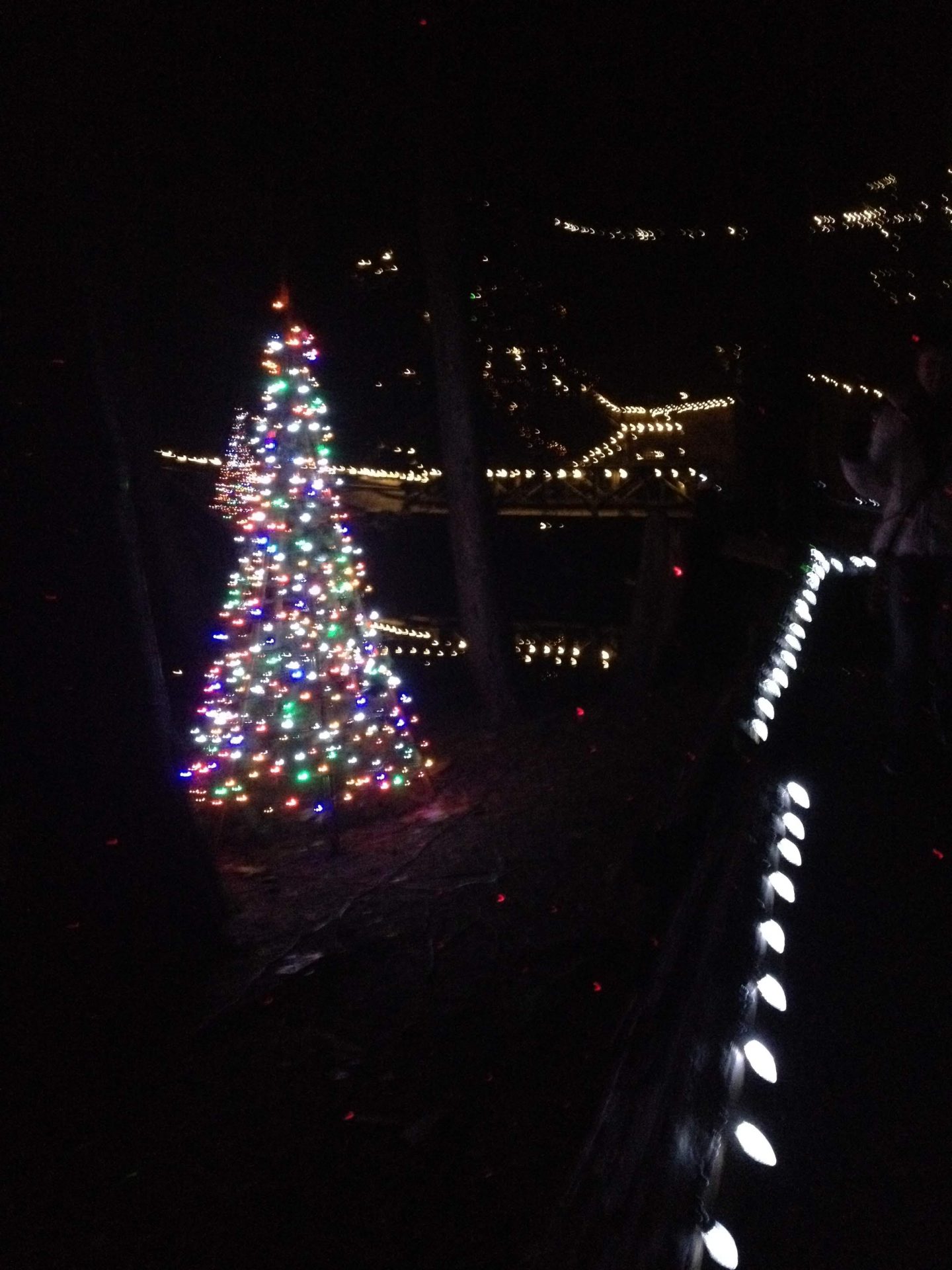 Christmas lights at Capilano Suspension Bridge