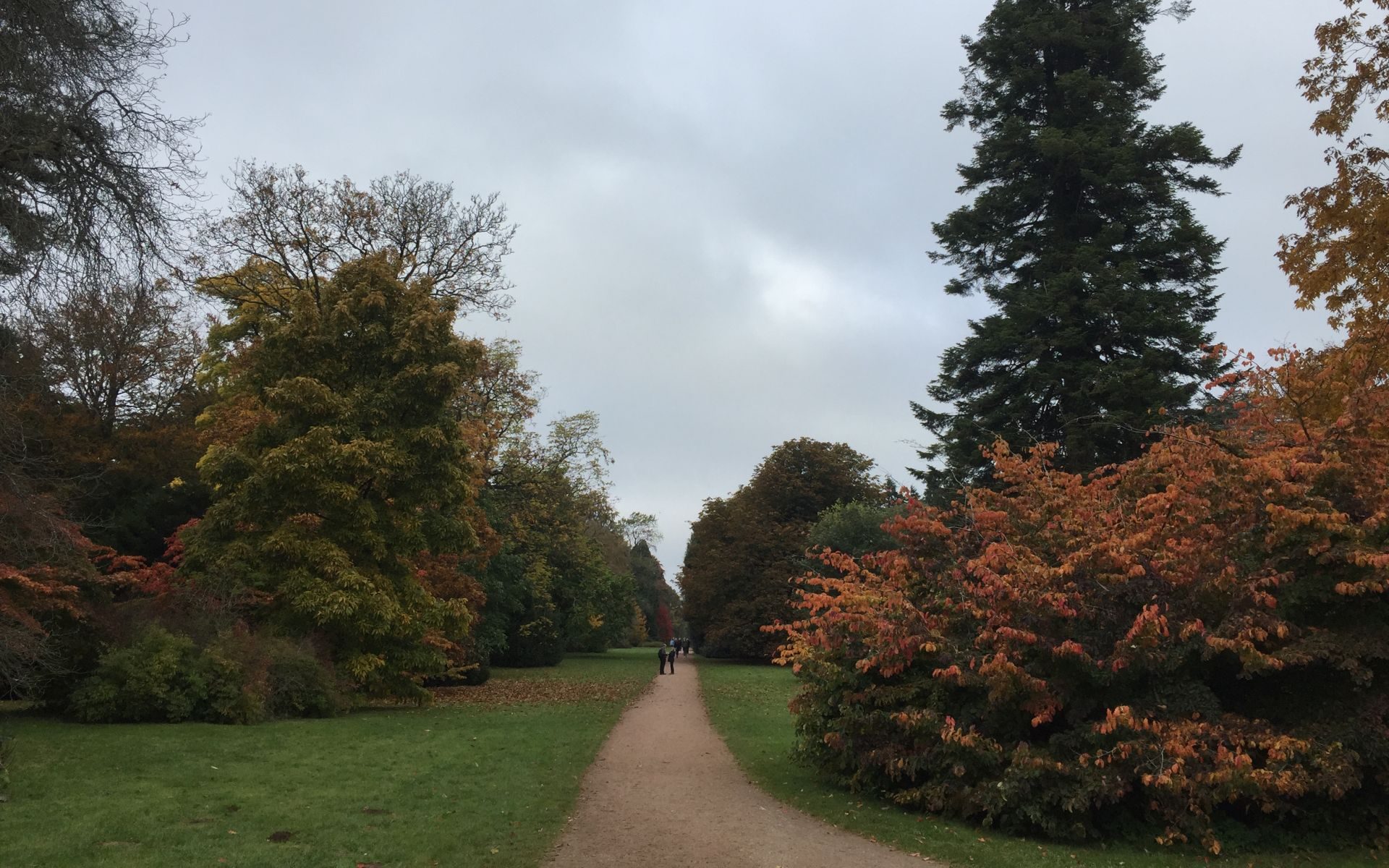 Walking through Westonbirt Arboretum